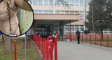 Procurile fotografije golog profesora iz BiH