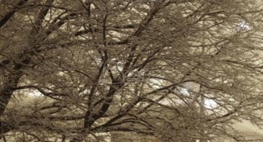 Škole i vrtići zatvoreni zbog hladnoće i gripa