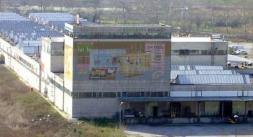 Pomozimo Lasti da opstane – kupujmo naše kekse i vafle!