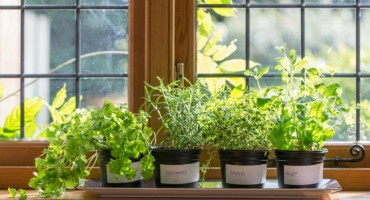 5 pravila za švedski način života kojem svi trebamo težiti