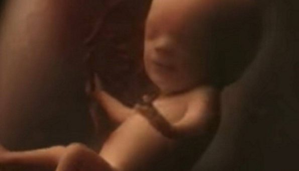 Kako izgleda devet mjeseci trudnoće u samo četiri minute videa