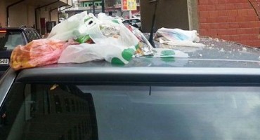 mostarac bez dlake na jeziku 