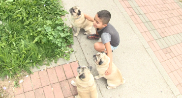 Prijatelji životinja