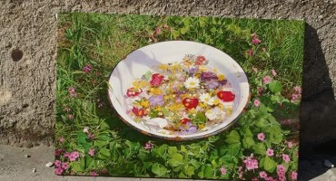 Marin Topić, cvjetna nedjelja, Marin Topić, cvjetna nedjelja