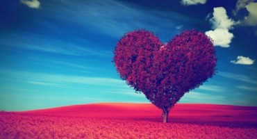 Katarina Zovko Ištuk