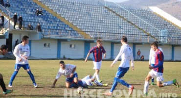 Gošk Hajduk