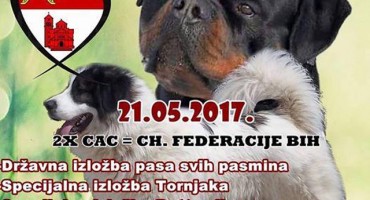 Tomislavgrad: Izložbe pasa - Dog show CAC BiH