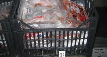 Nelegalno ubijene ptice iz BiH na jelovnicima talijanskih restorana 