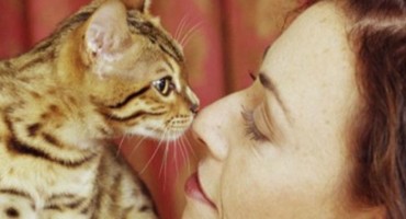 Znanstvenici otkrili cjepivo koje liječi alergiju na mačke