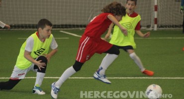 DFA liga