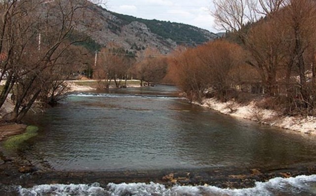 Široki Brijeg, Lištica
