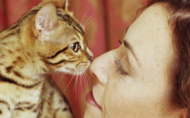 Znanstvenici otkrili cjepivo koje liječi alergiju na mačke