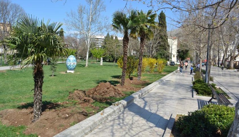 palme zrinjevac