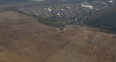 Pogledajte kako izgleda najveća plantaža smilja u Hercegovini