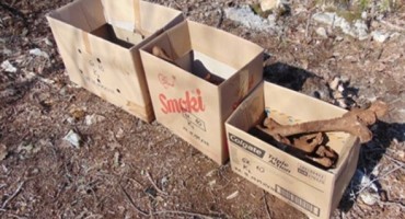 Široki Brijeg, eskumacija