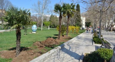 Palme preselile ispred ‘Kosače’ u ‘Zrinjevac’