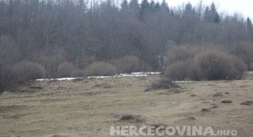 rostovo