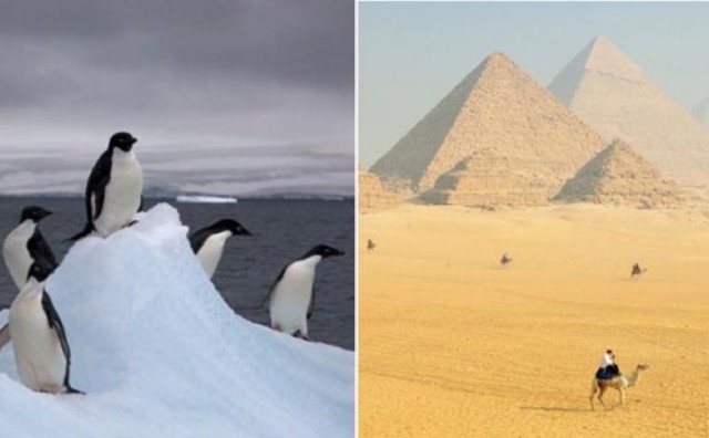 Pingvini počeli bježati sa Antarktika