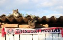 mačak mile, Stadion HŠK Zrinjski