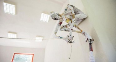 Ana Čolaković , Izložba