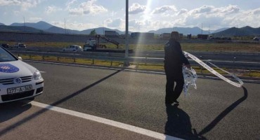 Bijača, MGP Bijača