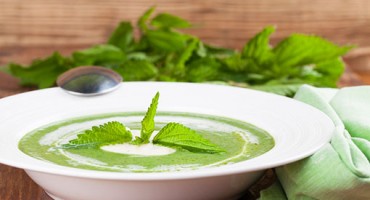 Proljetna juha od koprive