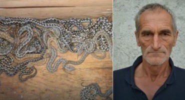 Zmijolovac iz Hercegovine ulovio preko 500 poskoka