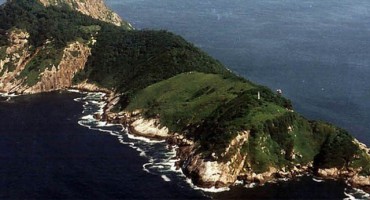 Na njemu živi stvorenje čiji otrov topi ljudsko meso, pokušali su ga istrijebiti - bezuspiješno