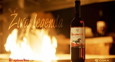 ždrebčeva krv, vino