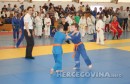 Judo kup Berkovići 2017