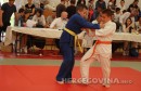 Judo kup Berkovići 2017