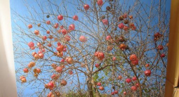 Marin Topić: Šipci i nebo - 08.05.2017