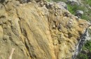 Paleontološko čudo  kod Posušja Na planini  Zavelim kod sela Zagorje otkriveni nevjerojatni fosili