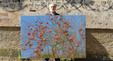 Marin Topić, šipci i nebo