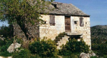 Katarina Zovko Ištuk