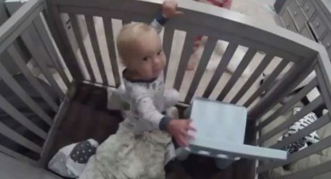 Najslađi 'partneri u zločinu' čija je snimka pogledana 65 milijuna puta