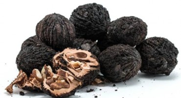 Ljekovito djelovanje crnog oraha 