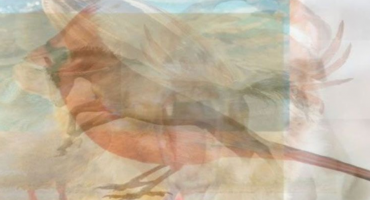 Koju životinju prvu vidite na slici? To otkriva vašu nutrinu 