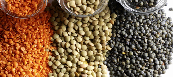 Zaboravljeni izvor proteina: Leća