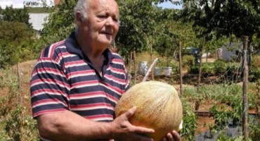 Ante Prskalo – Toma, pipun