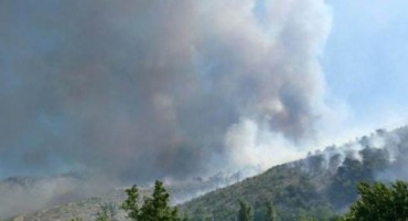 U blizini Jablanice primijećen veći broj životinja koje bježe od požara