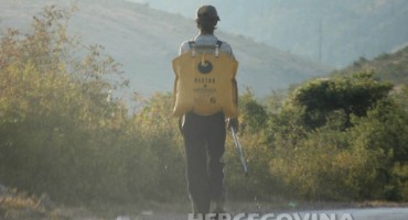 I dalje nije ugašen požar na lokalitetu Ivanjice kod Ravnog