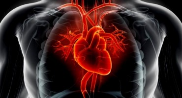 Ovo trebate činiti barem četiri do pet puta tjedno za zdravlje srca