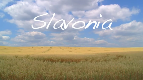 Slavonija
