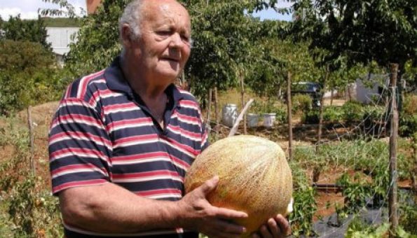 Ante Prskalo – Toma iz Čitluka uzgojio pipun težak preko 11 kg