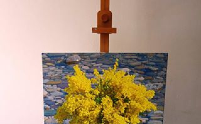 Marin Topić, mimoze