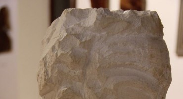 Damir Markulin, Izložba