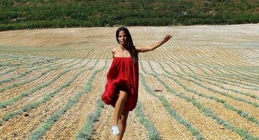  Helena Šopar , smilje, hercegovačko smilje