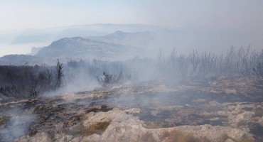 Čvrsnica, Rujište, Čvrsnica