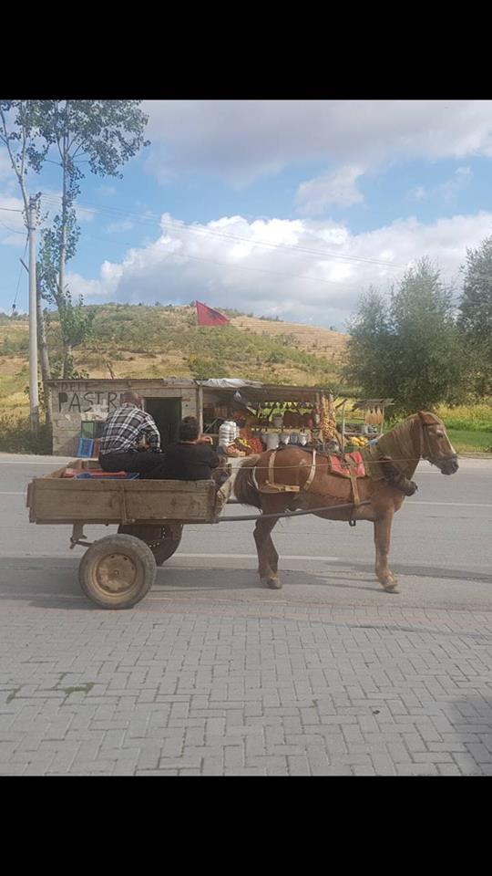 HPD Prenj 1933 Mostar: Zrinjski na najvišem vrh Olimpa